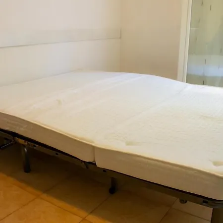 La Primula Sanremese *